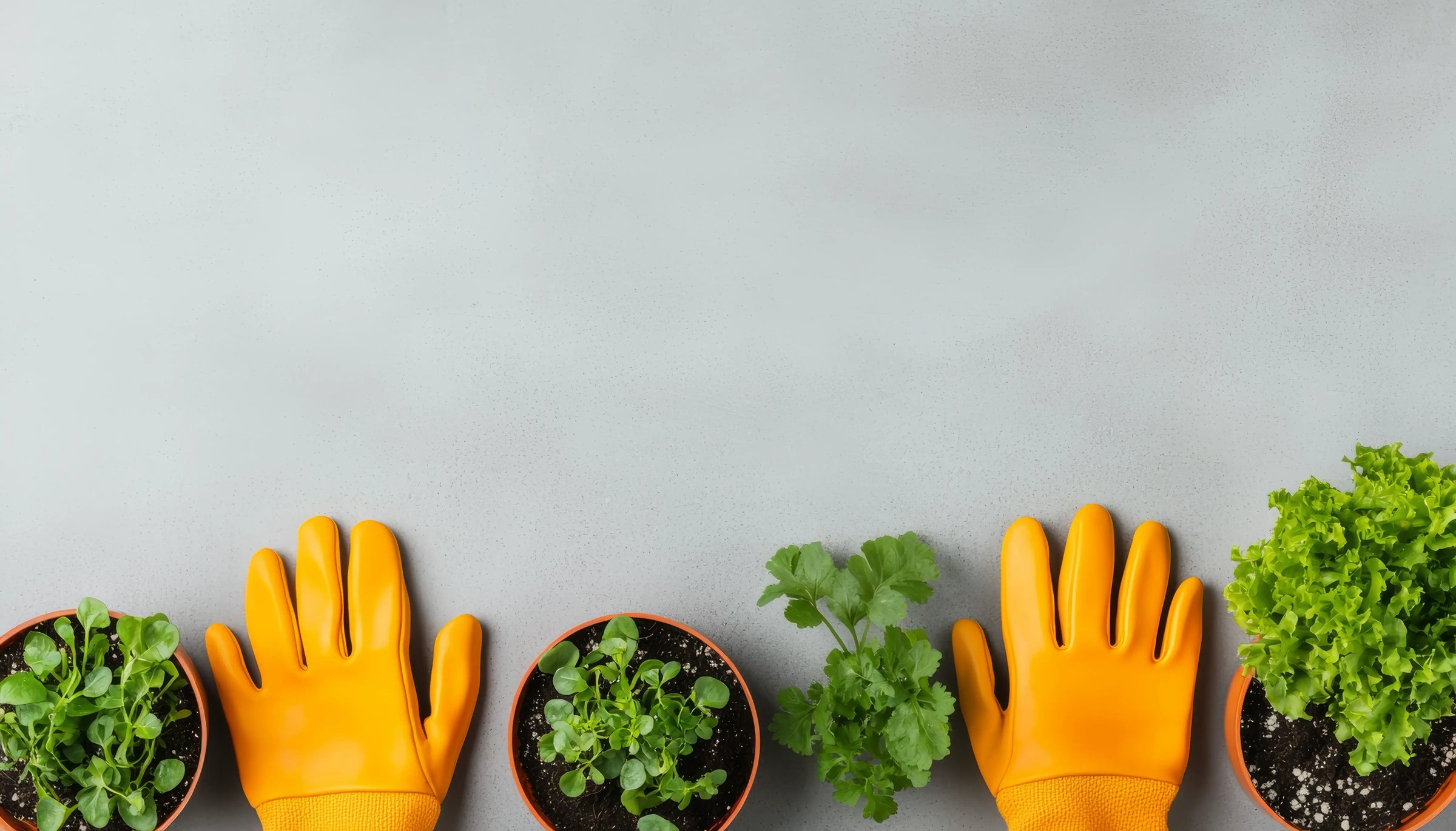 Have og gør-det-selv